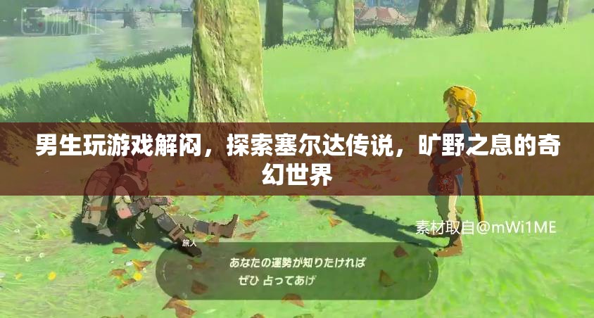 男生探索塞爾達(dá)傳說，曠野之息的奇幻世界