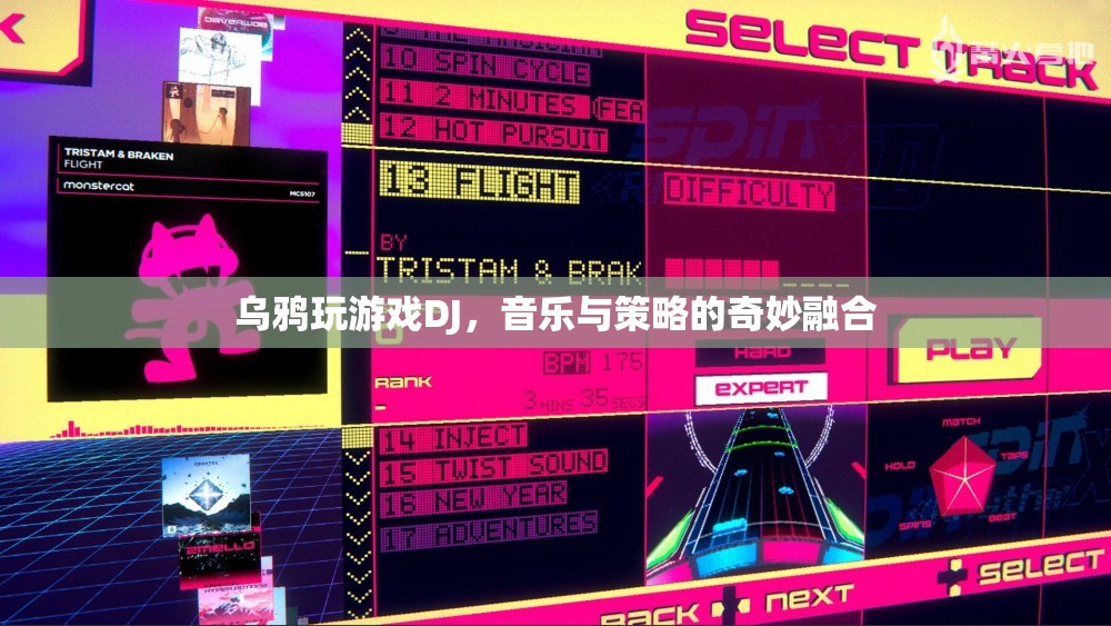 烏鴉玩游戲DJ，音樂與策略的完美碰撞