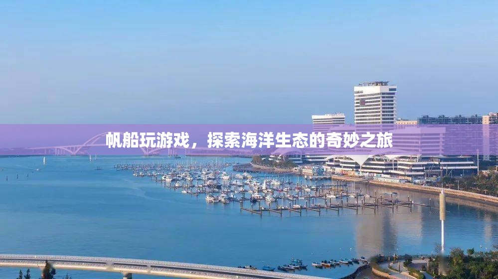 帆船游戲，探索海洋生態(tài)的奇妙之旅