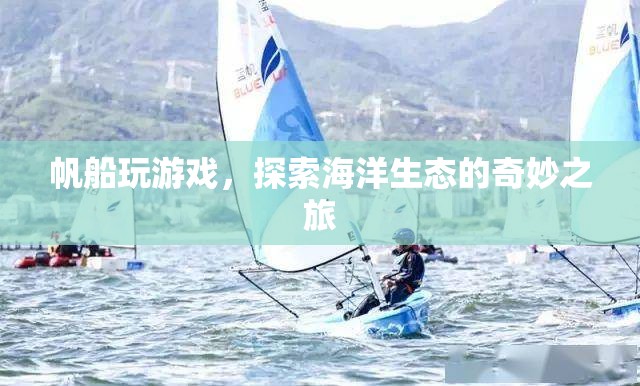 帆船游戲，探索海洋生態(tài)的奇妙之旅