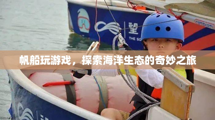 帆船游戲，探索海洋生態(tài)的奇妙之旅