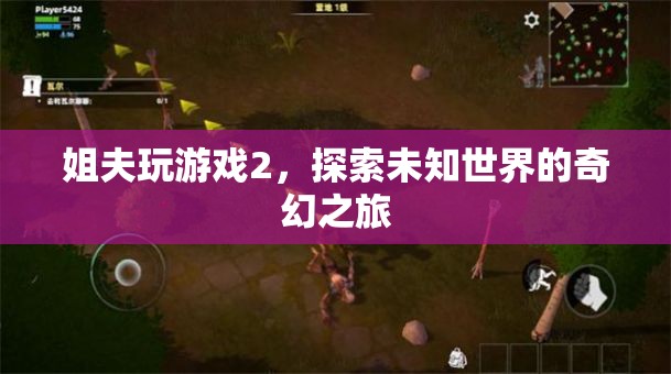 姐夫玩游戲2，奇幻之旅探索未知世界