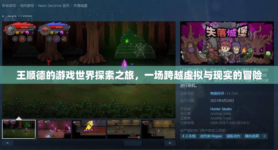 王順德，游戲世界探索之旅，虛擬與現(xiàn)實的冒險