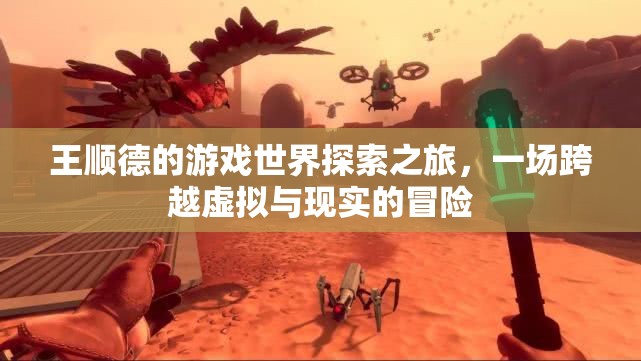 王順德，游戲世界探索之旅，虛擬與現(xiàn)實的冒險