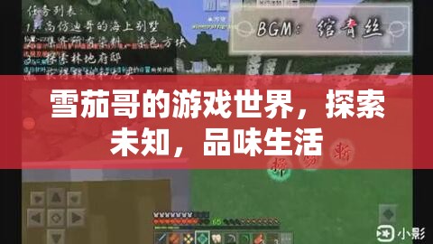 雪茄哥的游戲世界，探索未知，品味生活