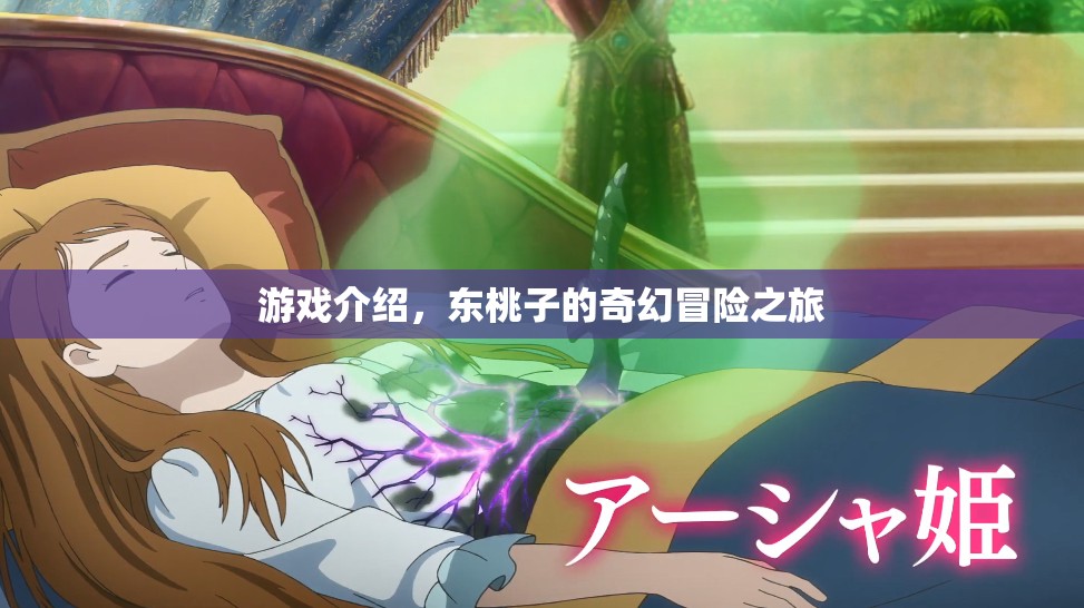 東桃子的奇幻冒險之旅，一場精彩絕倫的游戲之旅