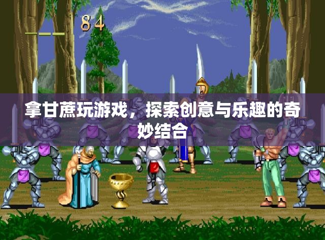 甘蔗游戲，探索創(chuàng)意與樂趣的奇妙結(jié)合