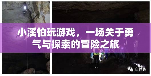 小溪的冒險(xiǎn)，一場(chǎng)關(guān)于勇氣與探索的旅程