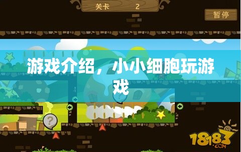 小小細(xì)胞，探索細(xì)胞世界的奇妙游戲