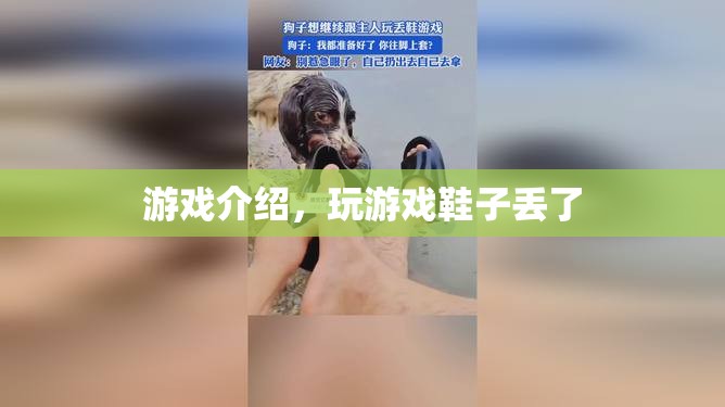 玩游戲竟導(dǎo)致鞋子丟失？揭秘游戲背后的奇妙故事