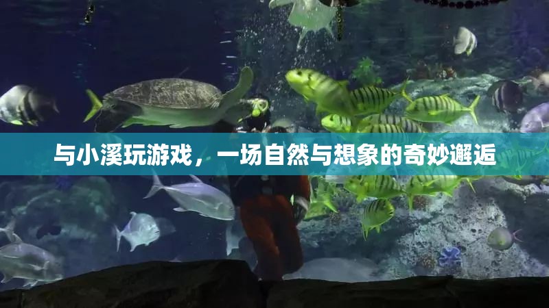 與小溪共舞，自然與想象的夢幻交響曲