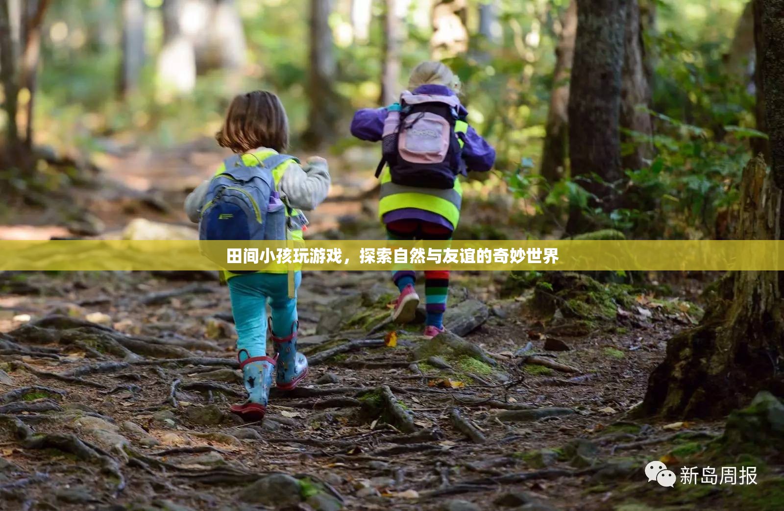 田間童趣，探索自然與友誼的奇妙世界