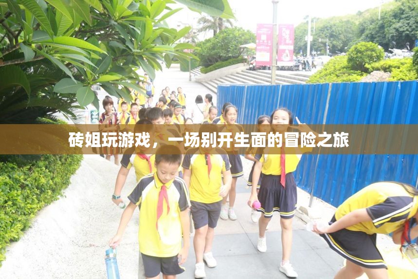磚姐的冒險(xiǎn)之旅，一場(chǎng)別開生面的游戲盛宴