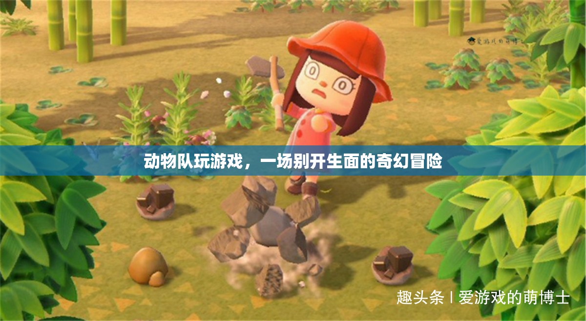 動(dòng)物隊(duì)奇幻冒險(xiǎn)，游戲里的別樣精彩