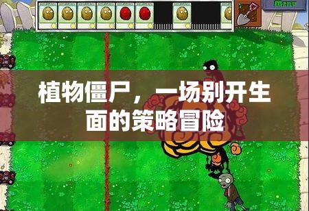 植物僵尸，策略冒險新體驗