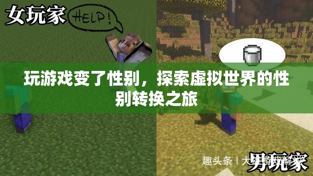 虛擬世界中的性別轉(zhuǎn)換，探索游戲里的性別變換之旅