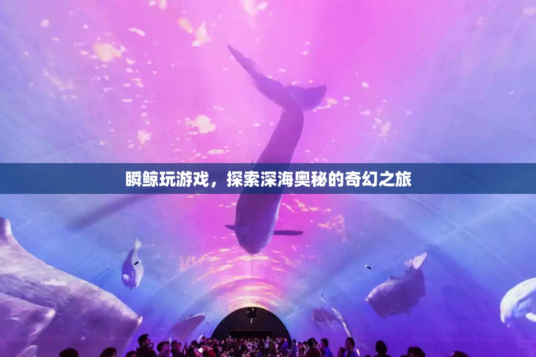 瞬鯨玩游戲，深海奧秘的奇幻之旅