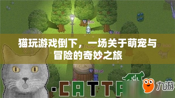 萌寵冒險記，貓咪游戲倒下引發(fā)奇妙之旅