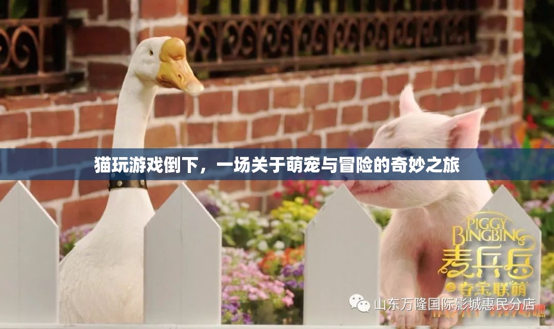 萌寵冒險記，貓咪游戲倒下引發(fā)奇妙之旅