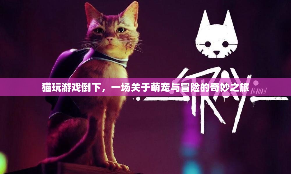 萌寵冒險記，貓咪游戲倒下引發(fā)奇妙之旅