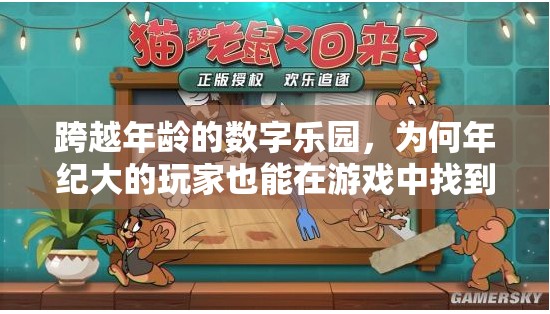 跨越年齡的數(shù)字樂園，揭秘年長玩家游戲樂趣的奧秘