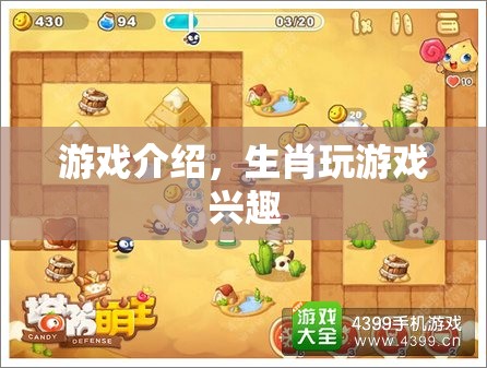 生肖游戲，探索你的生肖之旅