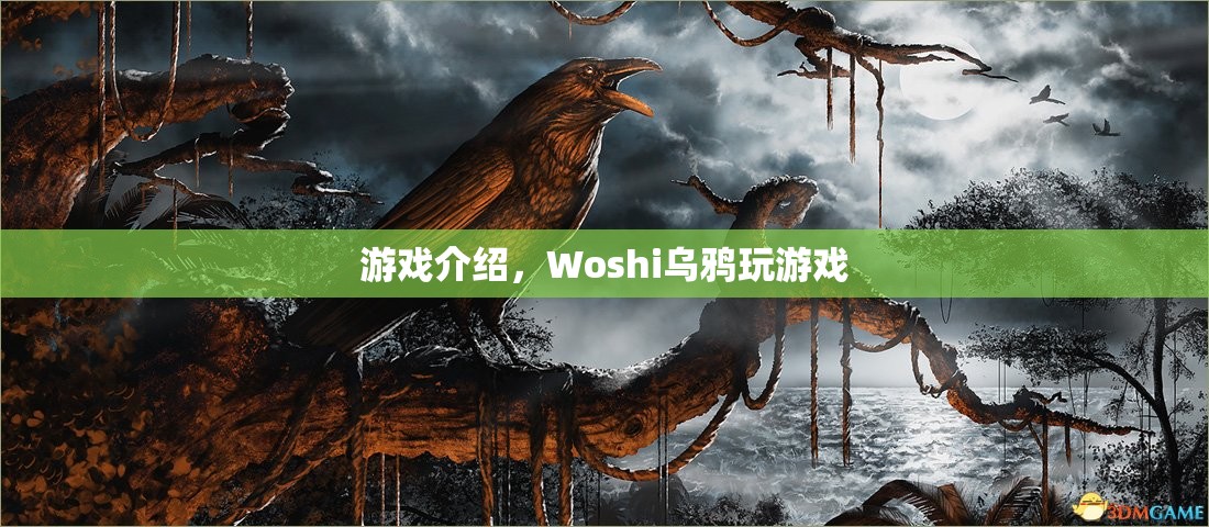 Woshi烏鴉游戲，探索神秘世界的冒險之旅
