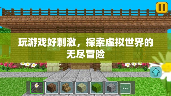 探索虛擬世界的無(wú)盡冒險(xiǎn)，游戲帶來(lái)的刺激與驚喜
