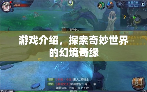 幻境奇緣，探索奇妙世界的冒險之旅