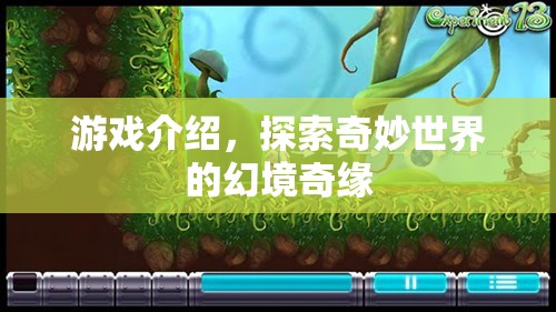 幻境奇緣，探索奇妙世界的冒險之旅