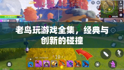 老鳥玩游戲，經(jīng)典與創(chuàng)新碰撞的盛宴