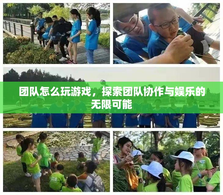 探索團(tuán)隊協(xié)作與娛樂的無限可能，團(tuán)隊游戲如何助力團(tuán)隊成長