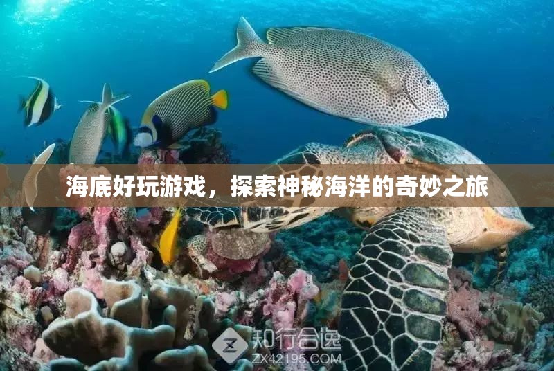探索神秘海洋，海底好玩游戲的奇妙之旅