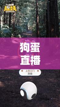 狗蛋直播探索虛擬世界的無(wú)限樂(lè)趣