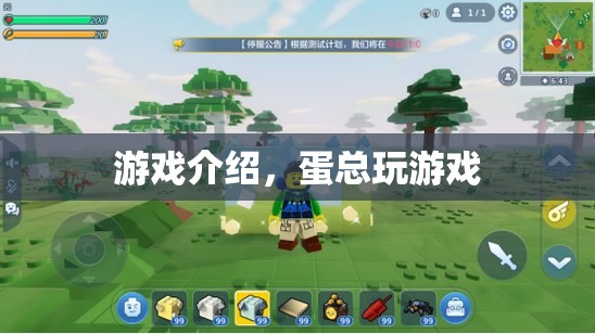 蛋總的游戲之旅，探索未知，挑戰(zhàn)自我