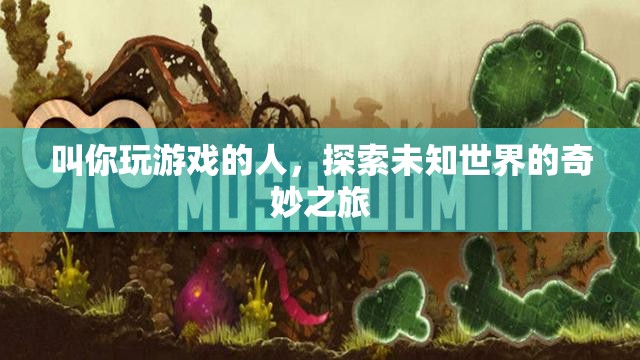探索未知世界的奇妙之旅，與游戲伙伴共赴冒險(xiǎn)