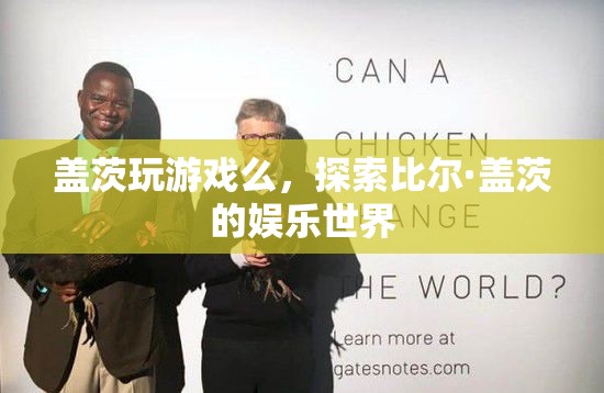 探索比爾·蓋茨的娛樂世界，游戲愛好者還是其他愛好？