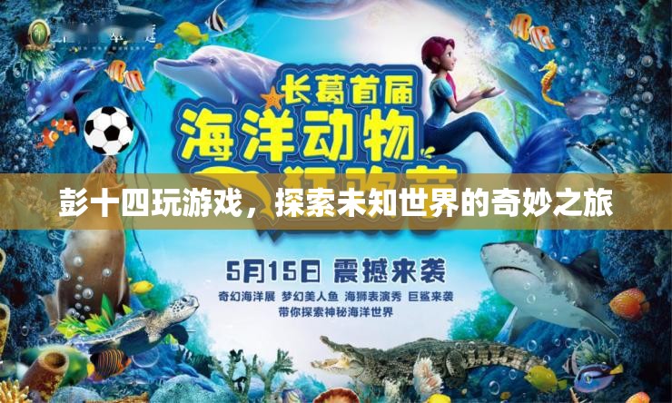 彭十四的奇妙游戲之旅，探索未知世界的冒險(xiǎn)