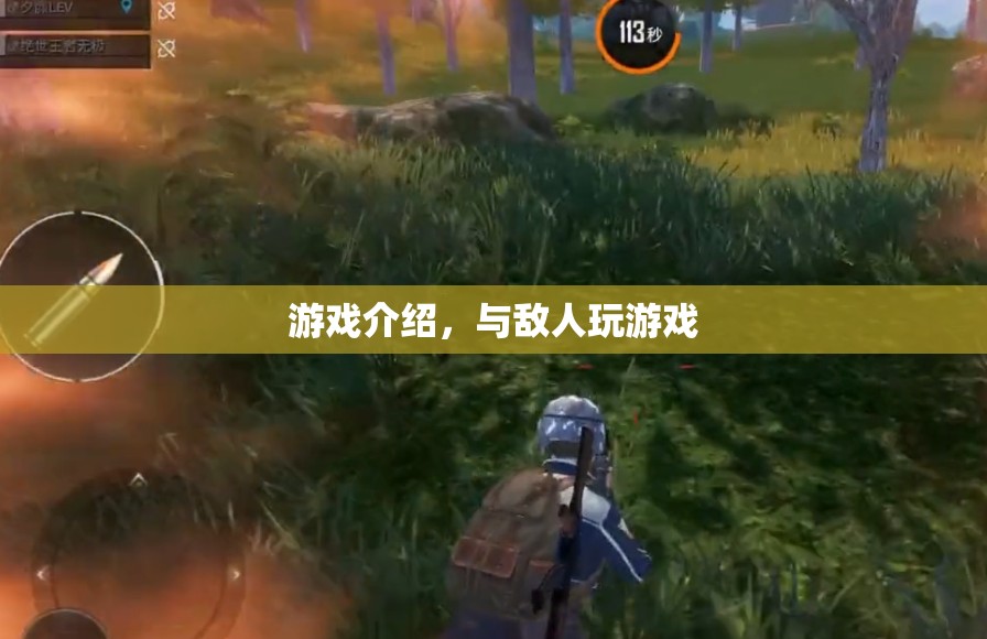 與敵共游，一場刺激的游戲?qū)Q