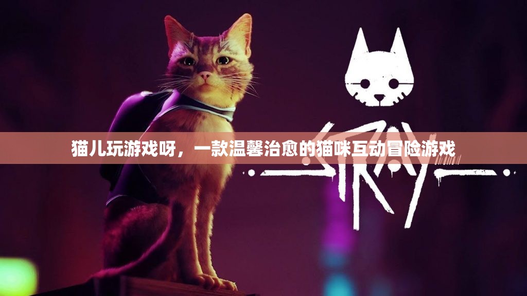 貓兒玩游戲呀，溫馨治愈的貓咪互動(dòng)冒險(xiǎn)游戲