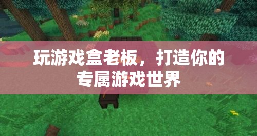 打造專屬游戲世界，玩游戲盒老板