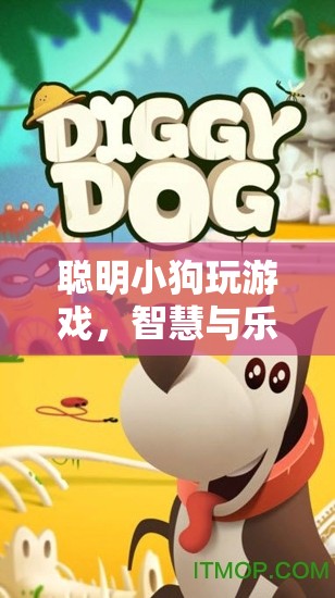 聰明小狗的寵物益智冒險(xiǎn)，智慧與樂趣的完美結(jié)合