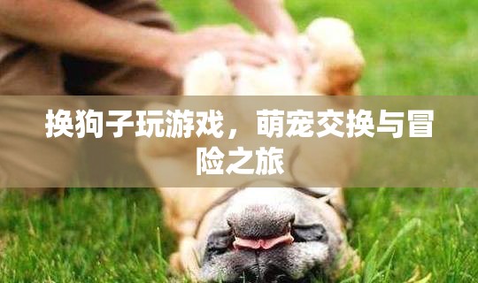萌寵交換，開啟狗狗冒險(xiǎn)之旅