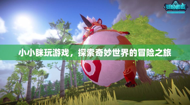 小小瞇的奇妙冒險(xiǎn)，探索游戲世界的奇幻之旅