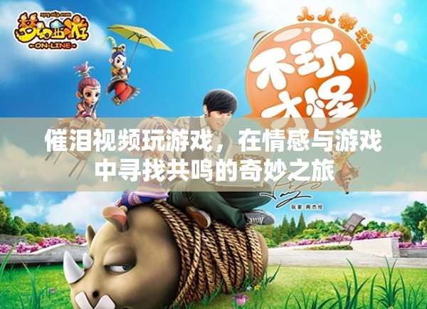 情感共鳴的奇妙之旅，催淚視頻游戲探索