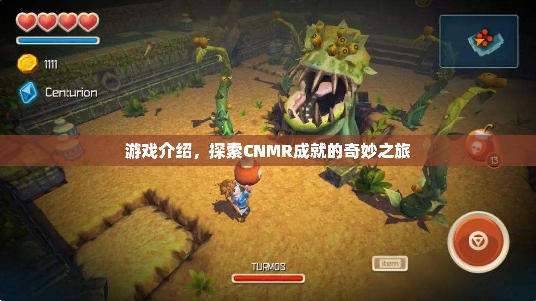 探索CNMR成就的奇妙之旅，游戲介紹