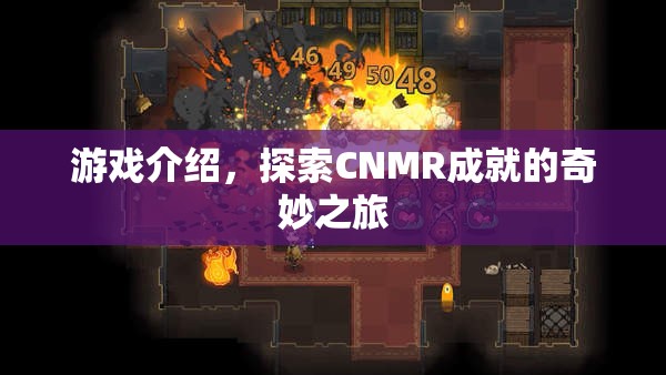 探索CNMR成就的奇妙之旅，游戲介紹