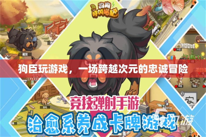 狗臣的跨界忠誠冒險，游戲與現(xiàn)實(shí)的交織之旅