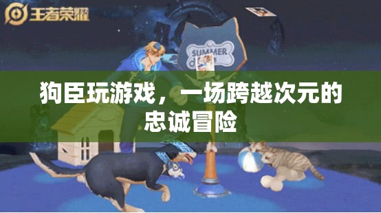 狗臣的跨界忠誠冒險，游戲與現(xiàn)實(shí)的交織之旅