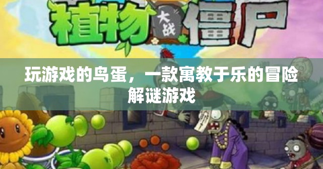 玩游戲的鳥蛋寓教于樂，冒險解謎等你來挑戰(zhàn)！